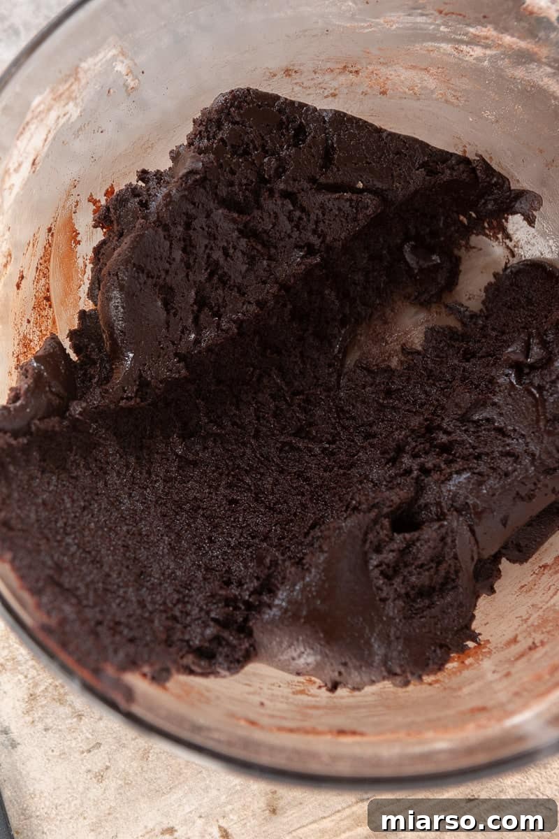 Close-up of chocolate cookie dough being prepared