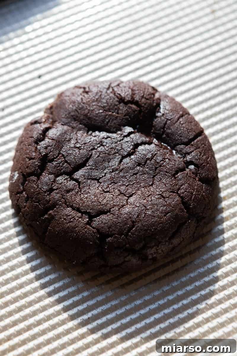 Freshly baked chocolate cookies on a baking sheet