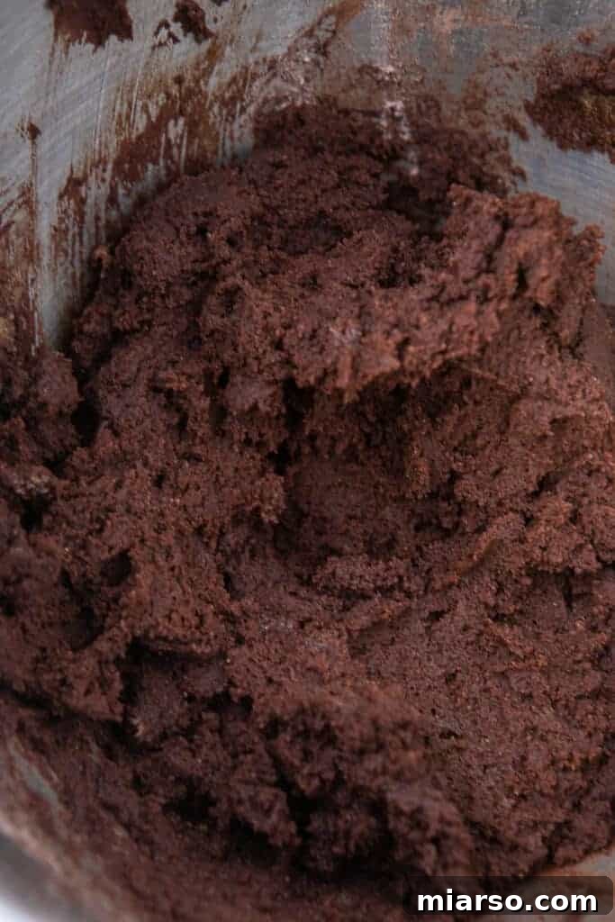Chocolate cookie dough in a bowl