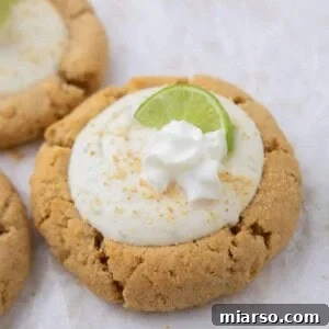 Tangy Chilled Key Lime Cookie Bliss 11 Key lime pie cookies