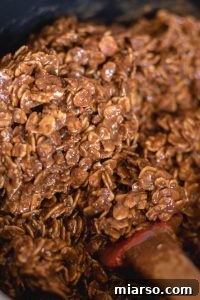 healthy no bake cookies