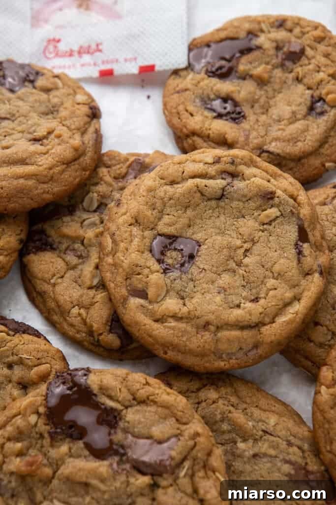 A close-up shot of a plate of warm chocolate chunk cookies, highlighting the melted chocolate.