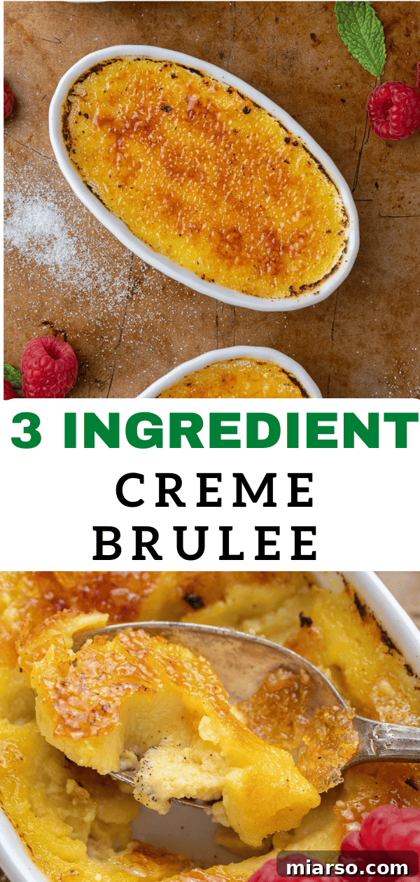 Ice cream creme brulee