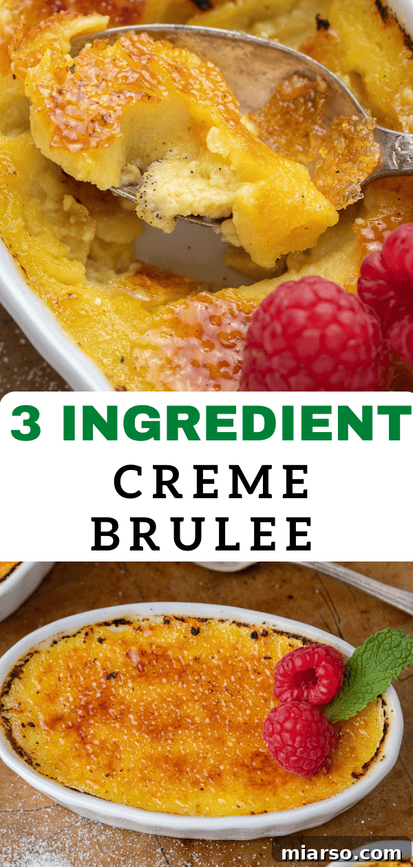 Tiktok Ice cream creme brulee