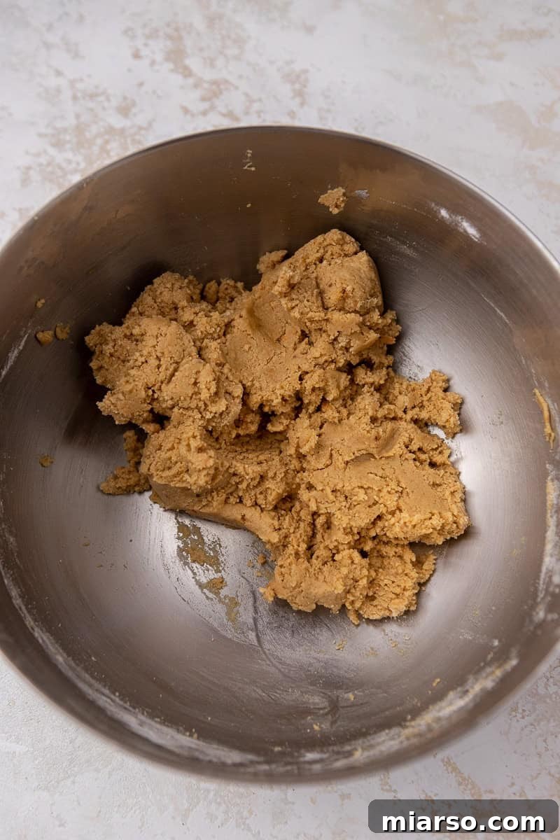 Soft cookie dough with visible graham cracker crumbs in a mixing bowl, ready for scooping.