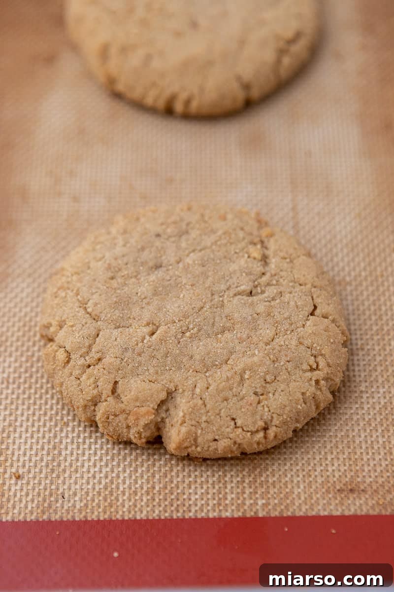 Freshly baked graham cracker cookies on a baking sheet, golden brown and perfectly puffed.