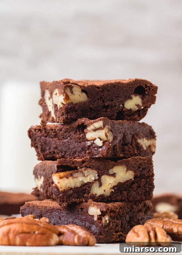 Bake Irresistibly Chewy Brownies with Cocoa Powder 2 easy brownies with cocoa powder