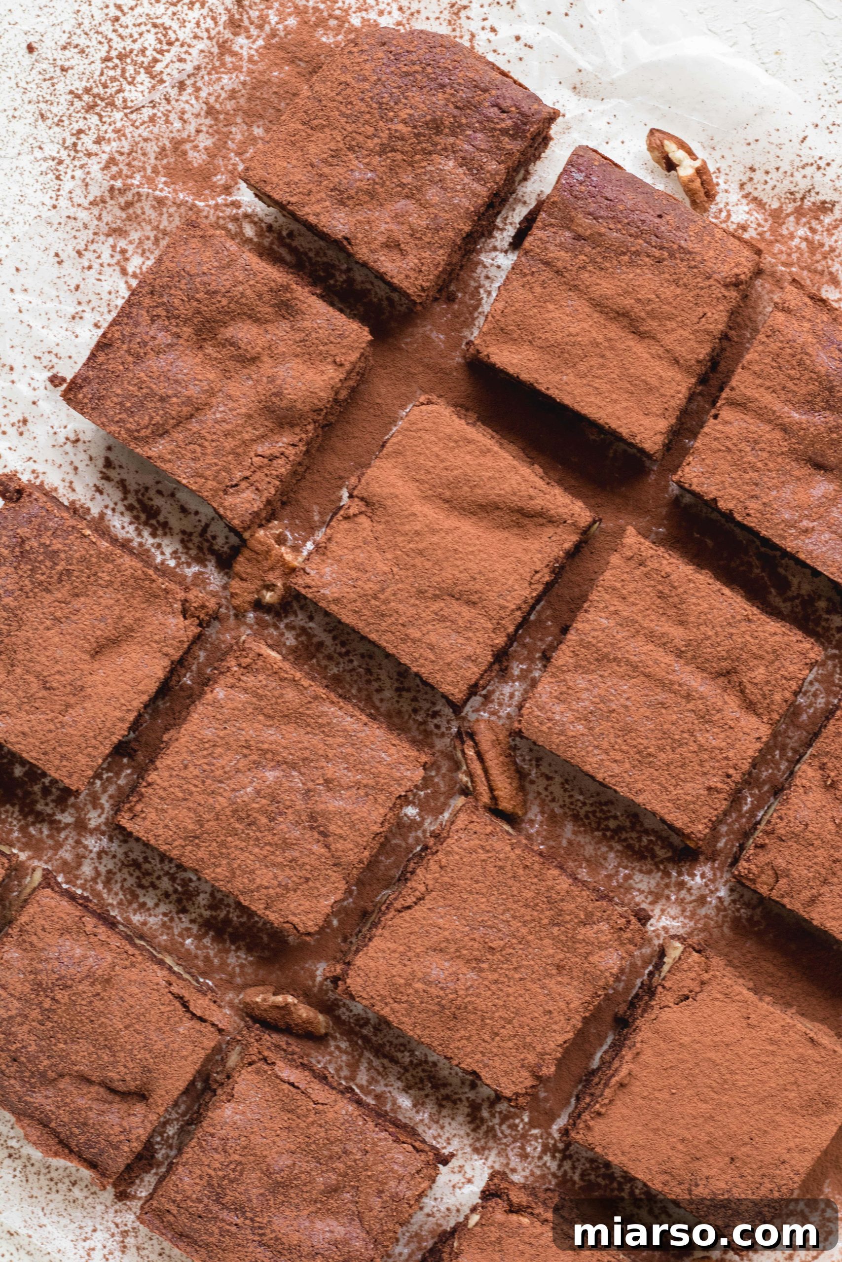 Bake Irresistibly Chewy Brownies with Cocoa Powder 12 brownie recipe without chocolate chips