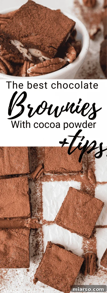 Bake Irresistibly Chewy Brownies with Cocoa Powder 15 Collage of chewy brownies with cocoa powder