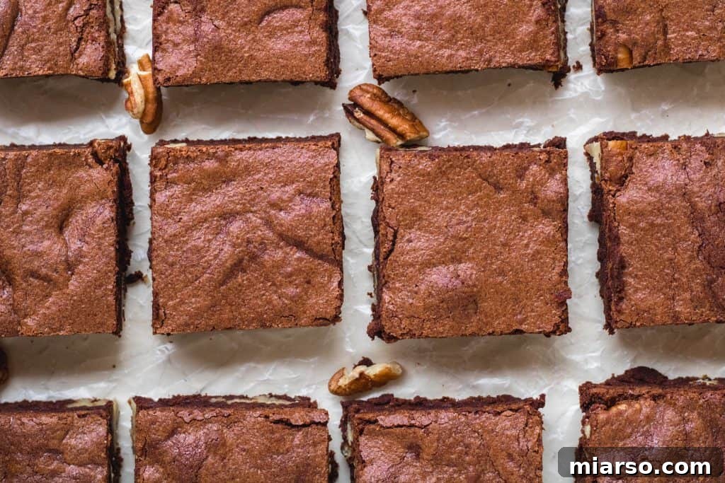 Bake Irresistibly Chewy Brownies with Cocoa Powder 5 chewy Brownies With Cocoa Powder