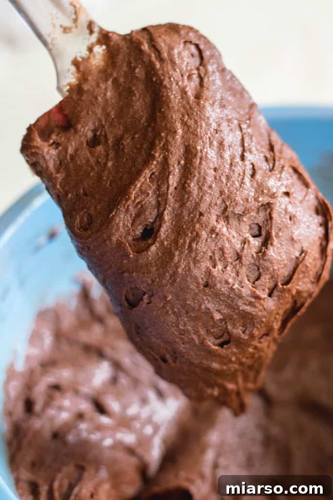 Bake Irresistibly Chewy Brownies with Cocoa Powder 9 chewy brownies with cocoa powder batter