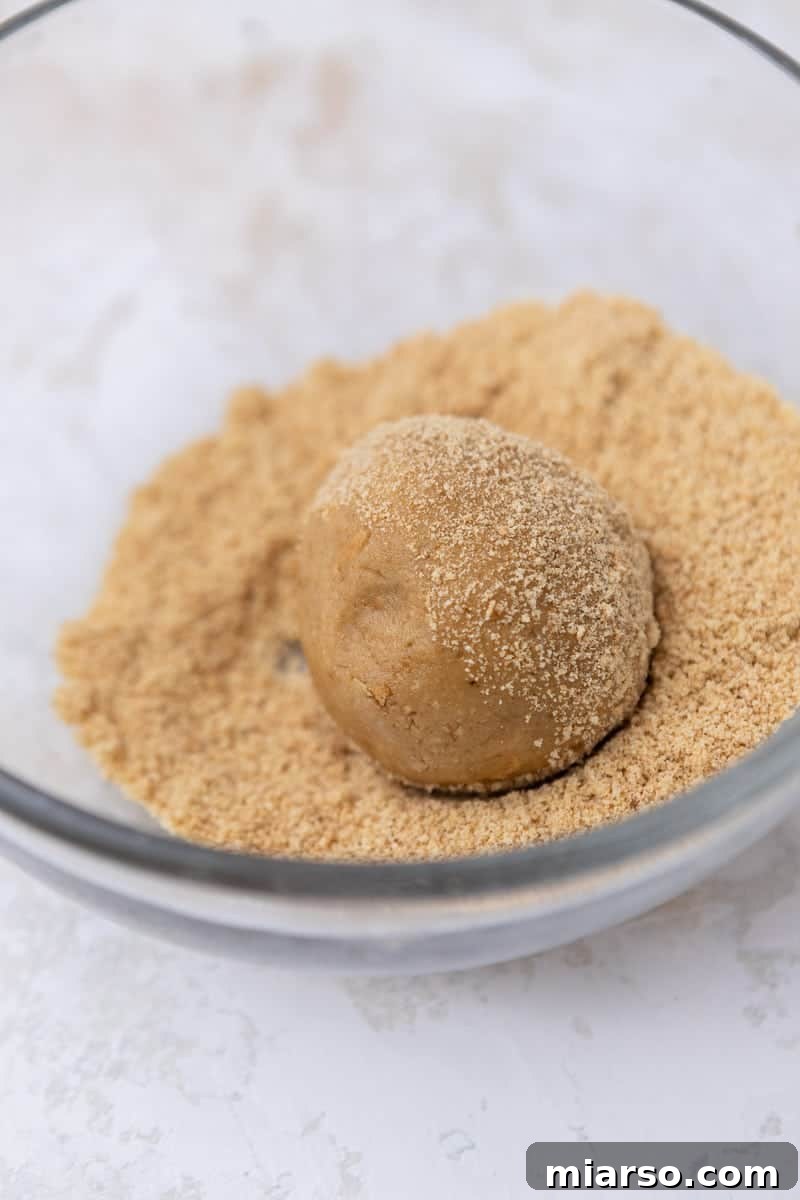 Cookie dough rolled in graham crackers