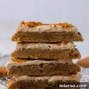 Crumbl Cookie Butter Cookie Crunch Ice Cream 13 Stack of Crumbl cookie butter ice cream cookies