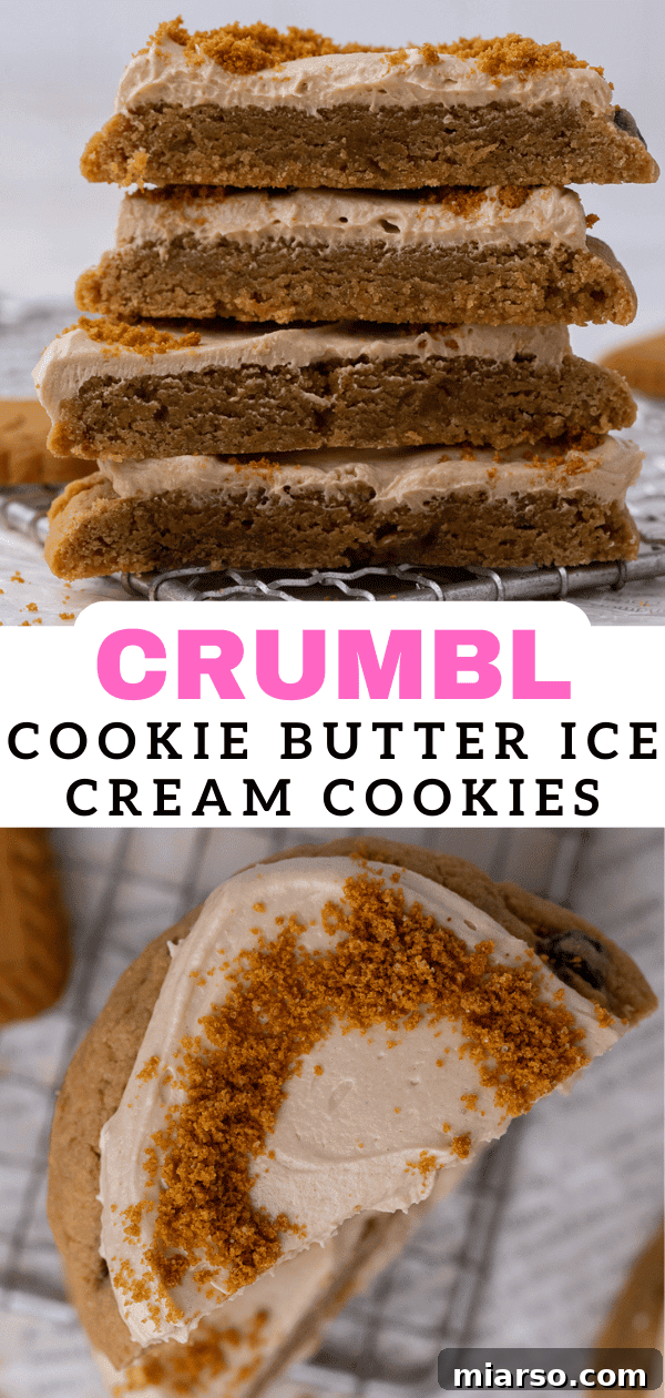 Crumbl Cookie Butter Cookie Crunch Ice Cream 15 Pinterest pin for Crumbl cookie butter ice cream cookies recipe