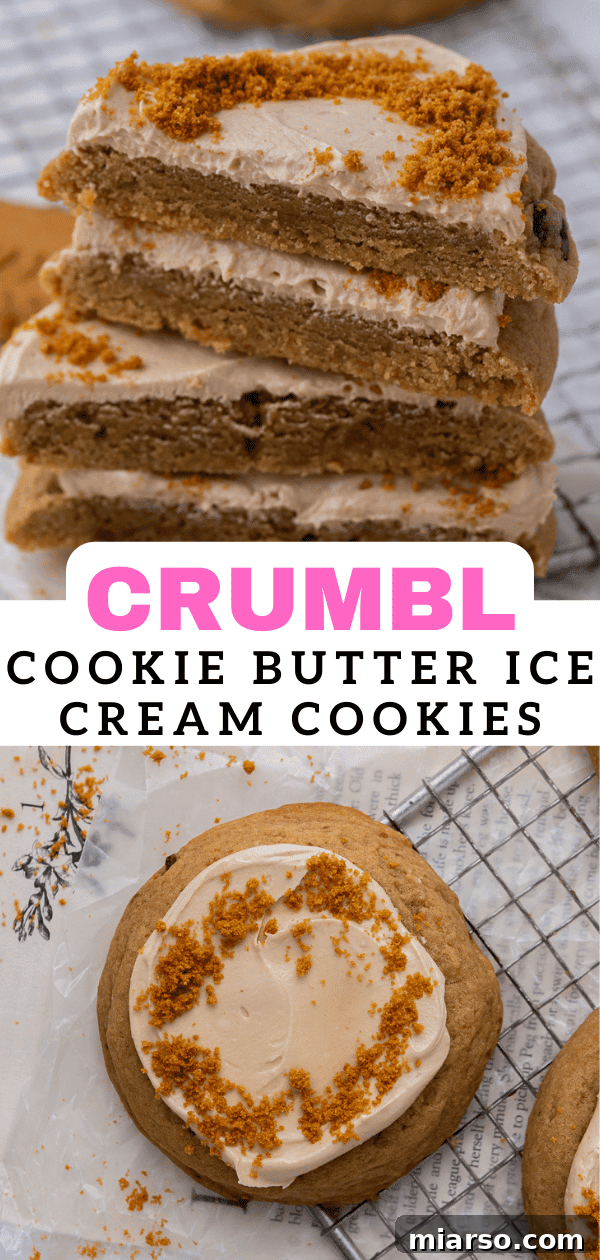 Crumbl Cookie Butter Cookie Crunch Ice Cream 16 Pinterest pin showing multiple Crumbl cookie butter ice cream cookies