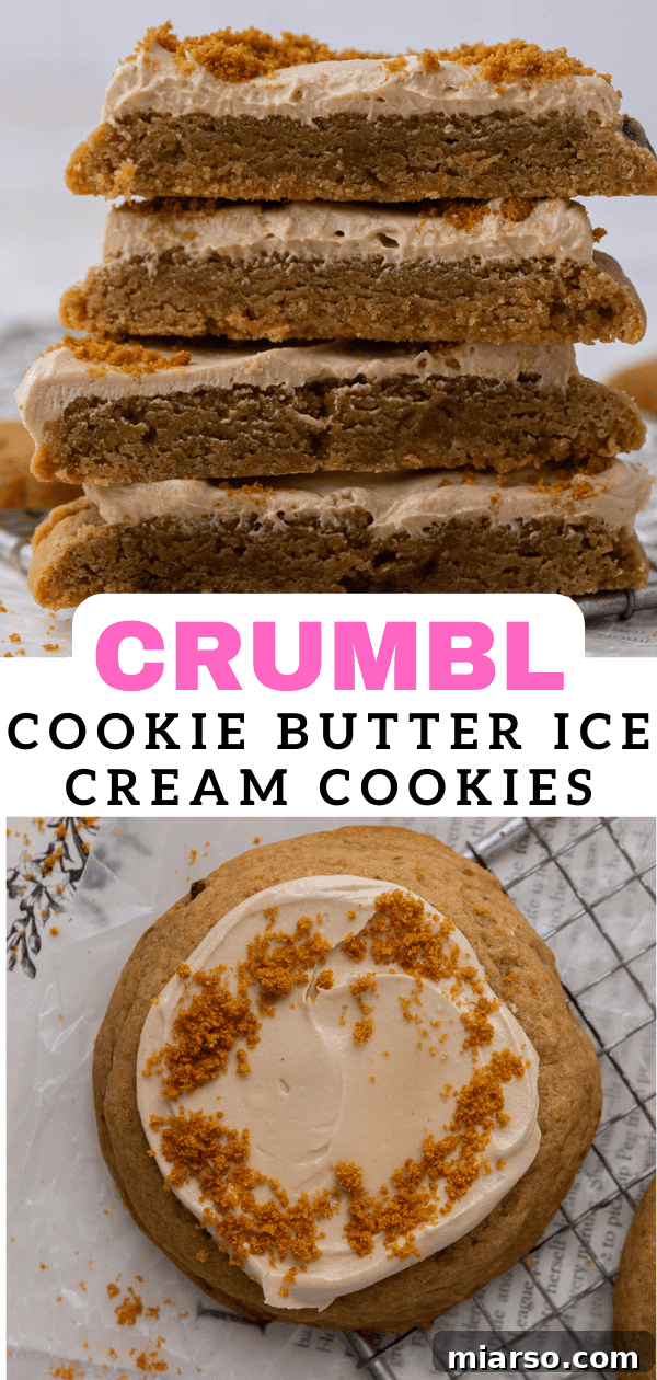 Crumbl Cookie Butter Cookie Crunch Ice Cream 17 Pinterest pin with close-up of Crumbl cookie butter ice cream cookie with crumbs