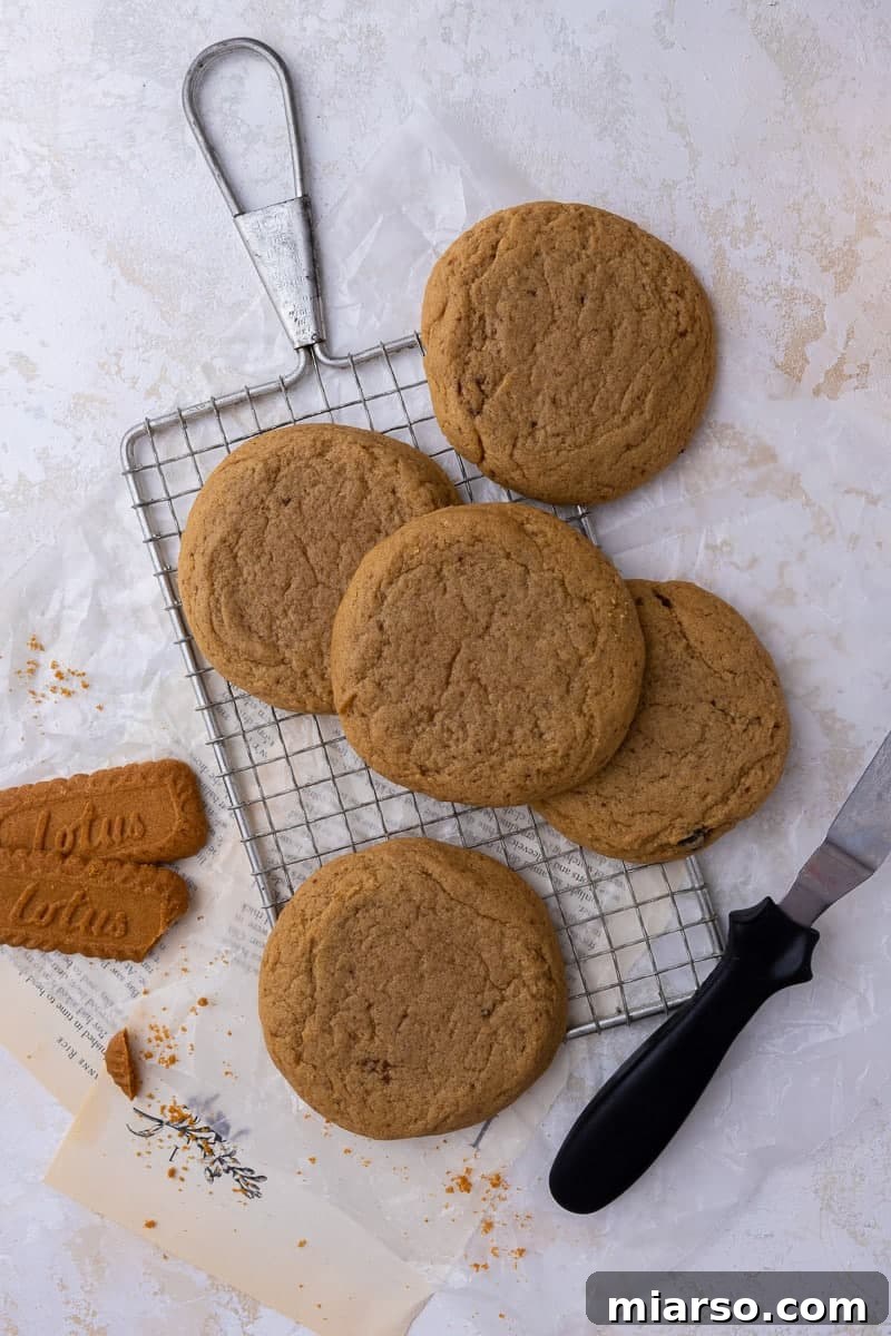 Crumbl Cookie Butter Cookie Crunch Ice Cream 8 Baked, unfrosted brown sugar cookies cooling on a wire rack