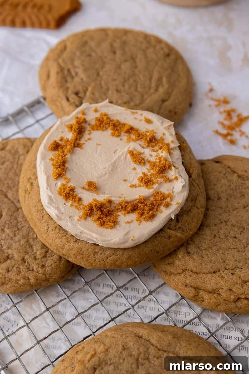 Crumbl Cookie Butter Cookie Crunch Ice Cream 10 Brown sugar cookies fully frosted with cookie butter buttercream and sprinkled with Biscoff crumbs