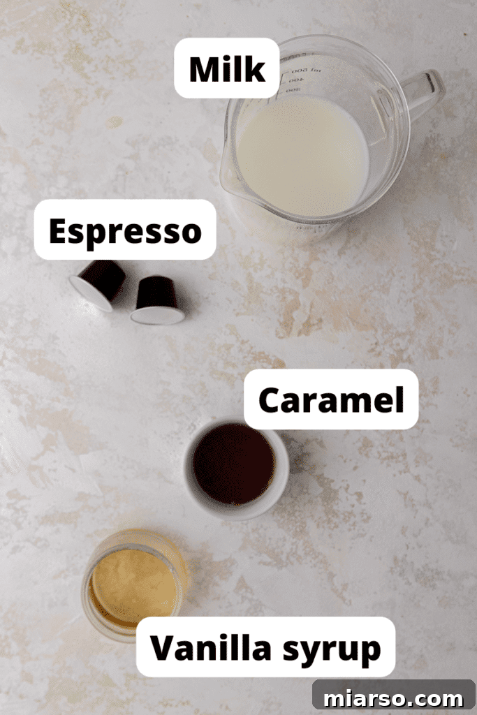Starbucks Inspired Homemade Iced Caramel Macchiato 3 Arrangement of essential ingredients for making a homemade Starbucks caramel macchiato: milk, vanilla syrup, espresso, and caramel sauce.