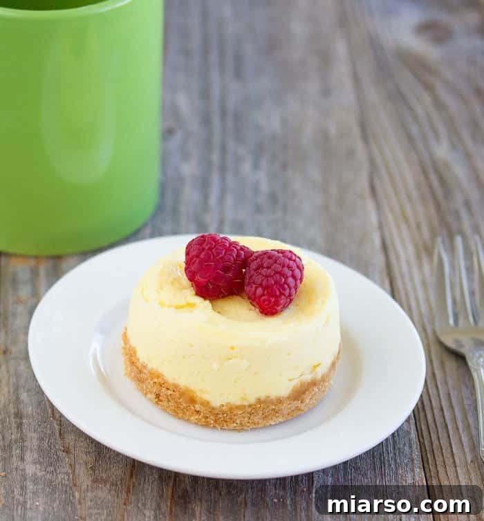 14 Instant Sweet Bites for One 15 microwave cheesecake