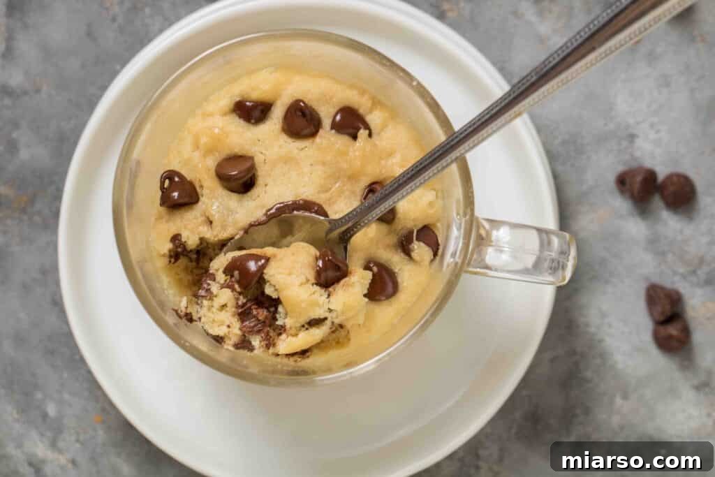 14 Instant Sweet Bites for One 4 Healthy vegan chocolate chip cookie in the microwave for one