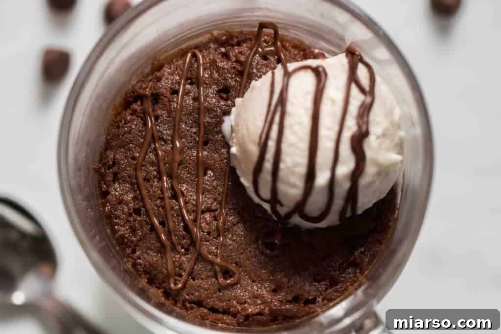 14 Instant Sweet Bites for One 6 Mug brownie recipe