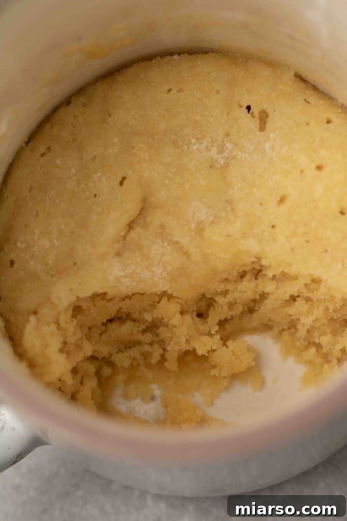 14 Instant Sweet Bites for One 8 What makes a mug sugar cookie special