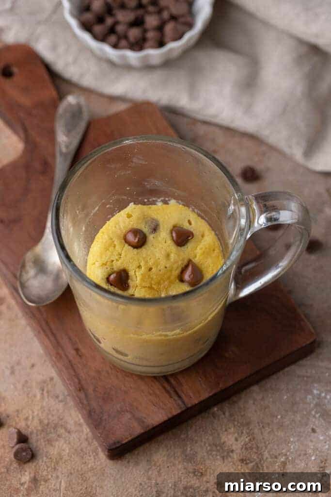 14 Instant Sweet Bites for One 9 Protein cake in a mug