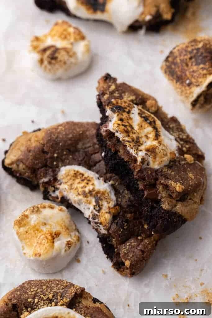 Decadent Crumbl S'mores Brownie Cookies with melted marshmallow