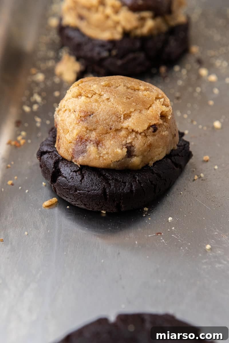 Chocolate cookie dough with a layer of graham cracker cookie dough on top