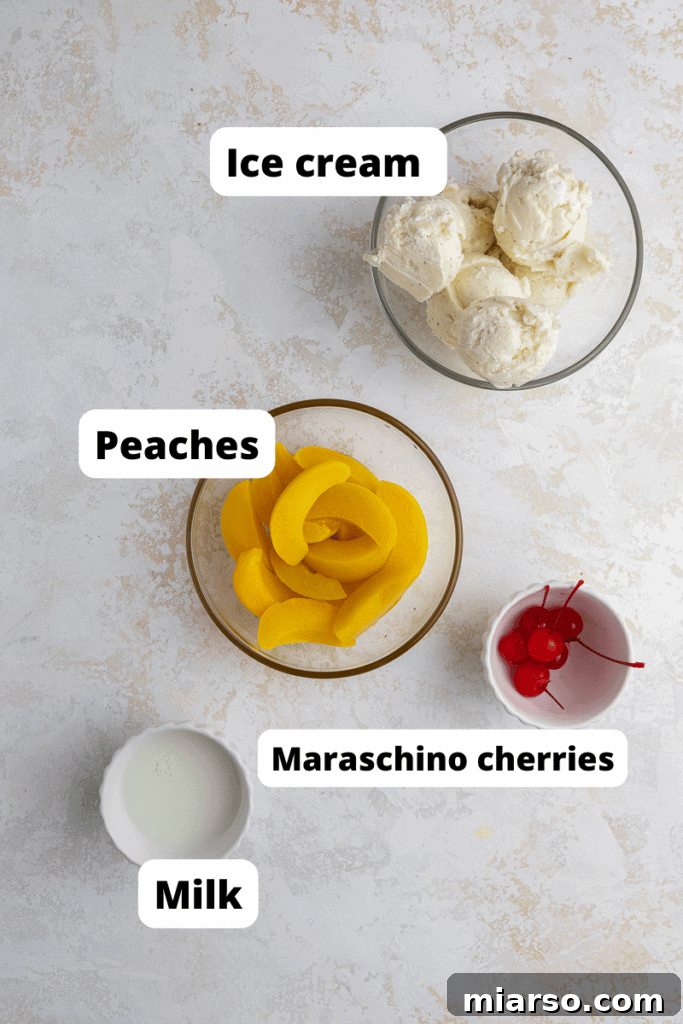 ingredients for milkshake 