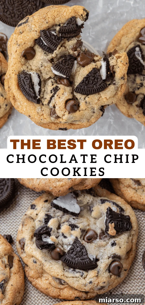 Ultimate Oreo Chocolate Chip Cookies 16 Oreo chocolate chip cookies