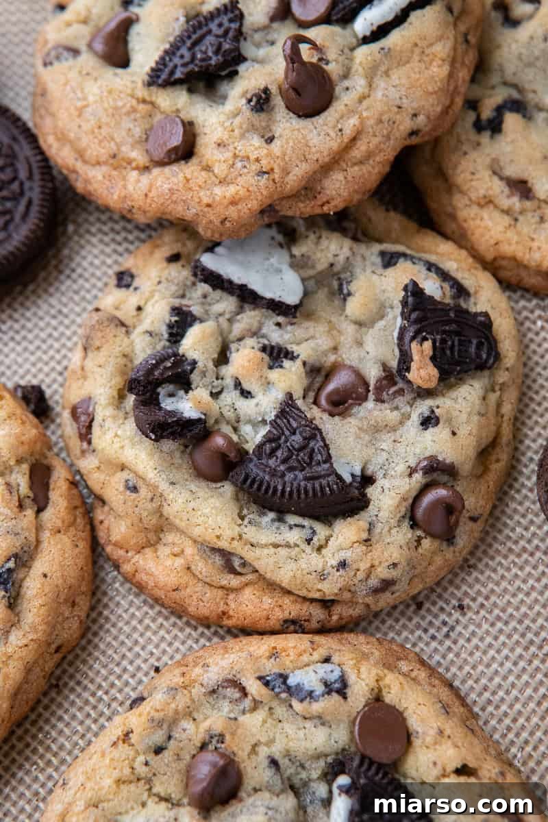 Ultimate Oreo Chocolate Chip Cookies 9 Chewy Oreo cookies on baking sheet