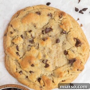 Unlock the Secret to Your Perfect Single Serve Chocolate Chip Cookie 12 Chocolate chip cookie for one