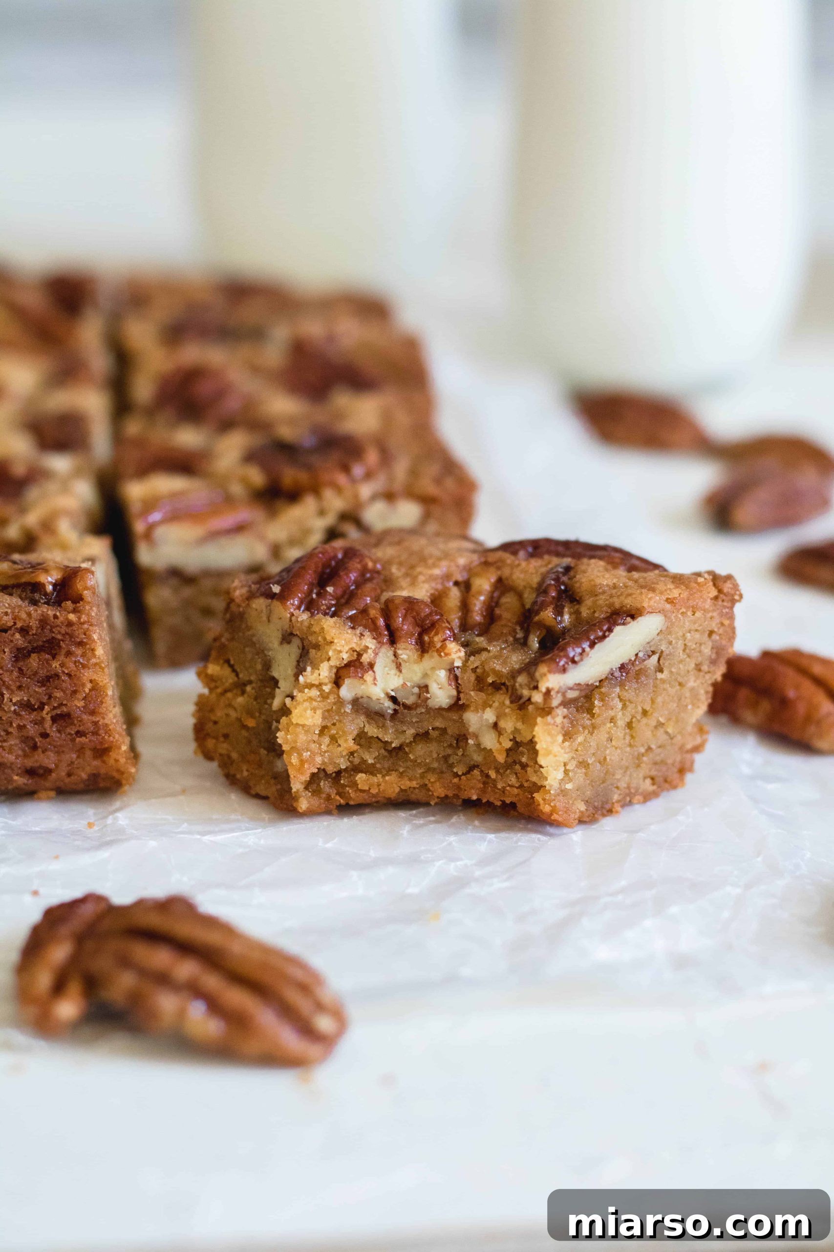 Rich, golden brown butter pecan blondies showcasing their irresistible texture and topping.