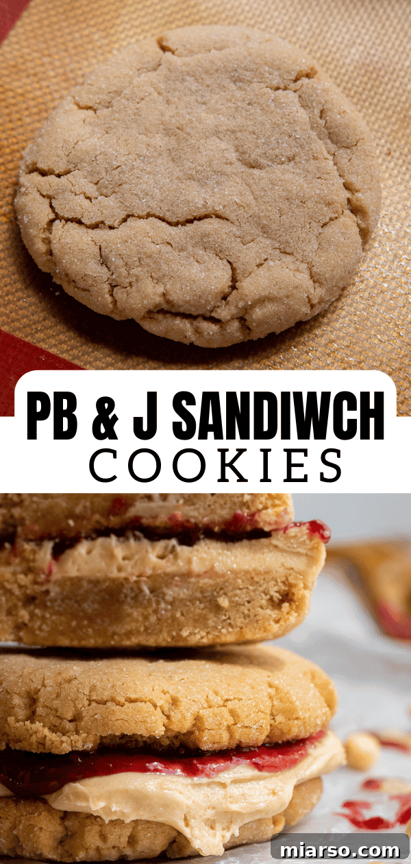 Ultimate Peanut Butter and Jelly Cookie Sandwich 17 Cookie sandwich