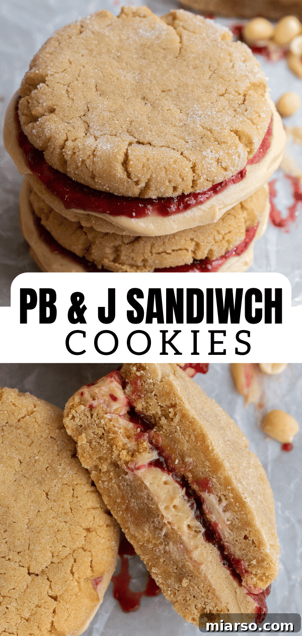 Ultimate Peanut Butter and Jelly Cookie Sandwich 18 Peanut butter and jelly sandwich cookies