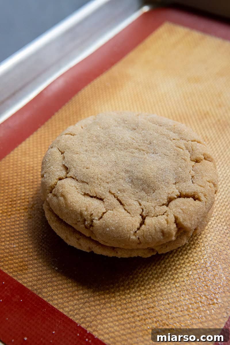 Ultimate Peanut Butter and Jelly Cookie Sandwich 10 Baked peanut butter cookies