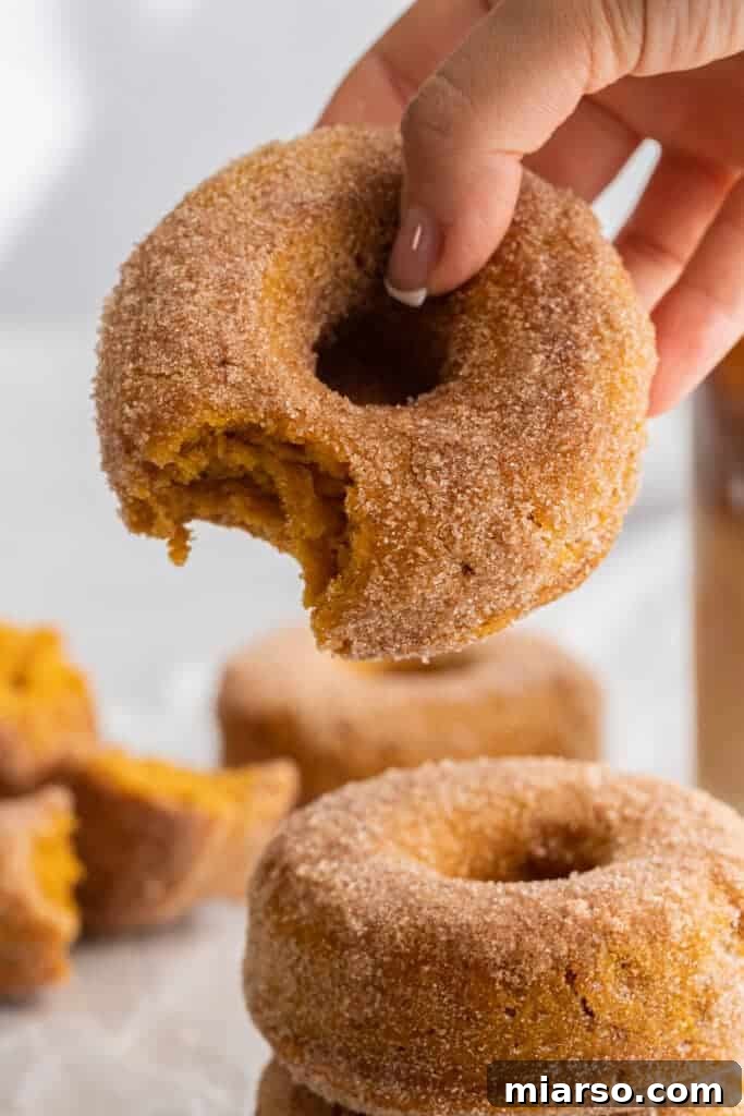 Decadent Pumpkin Spice Donut Perfection 2 Pumpkin spice donut held by a hand