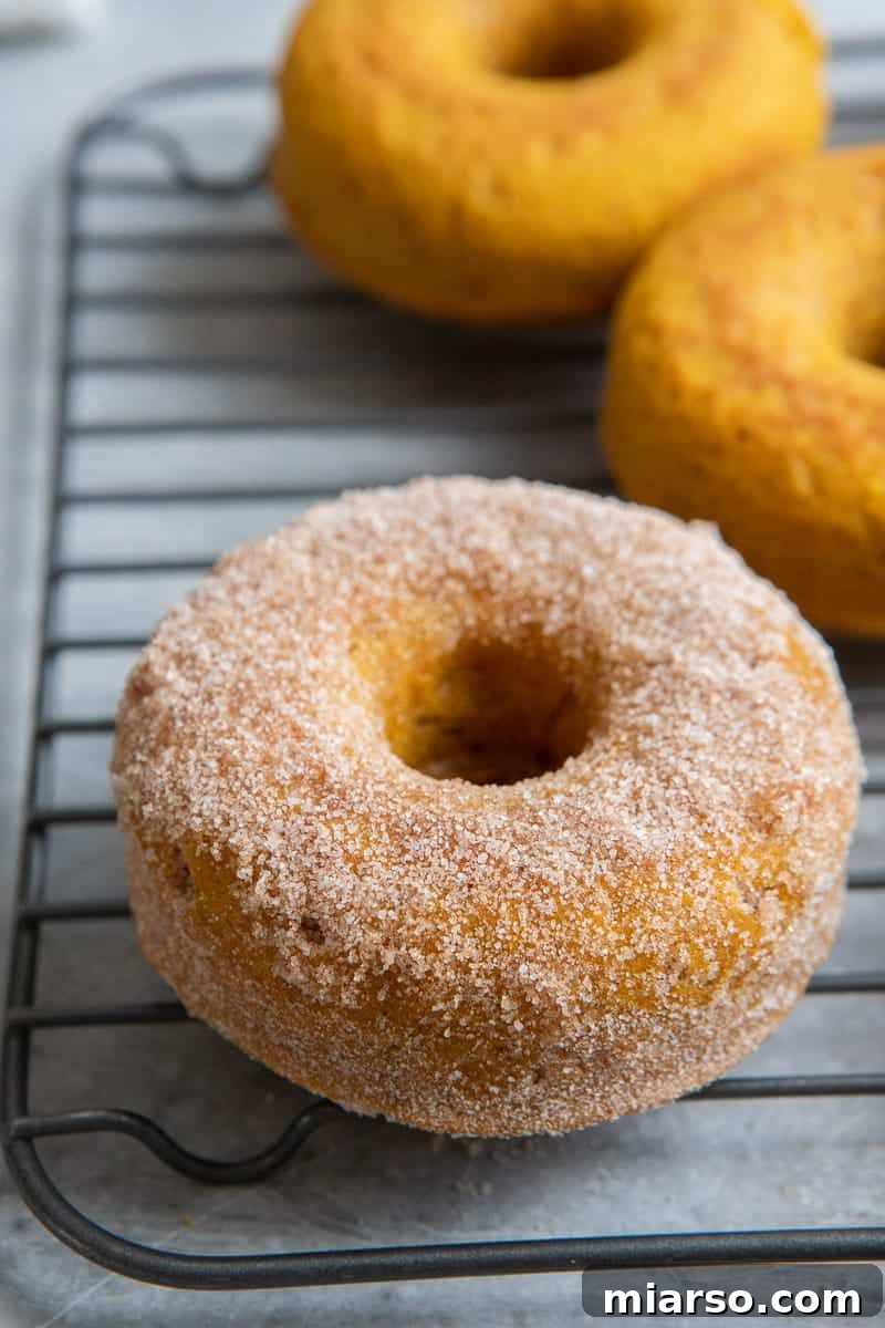 Decadent Pumpkin Spice Donut Perfection 11 Pumpkin spice donuts