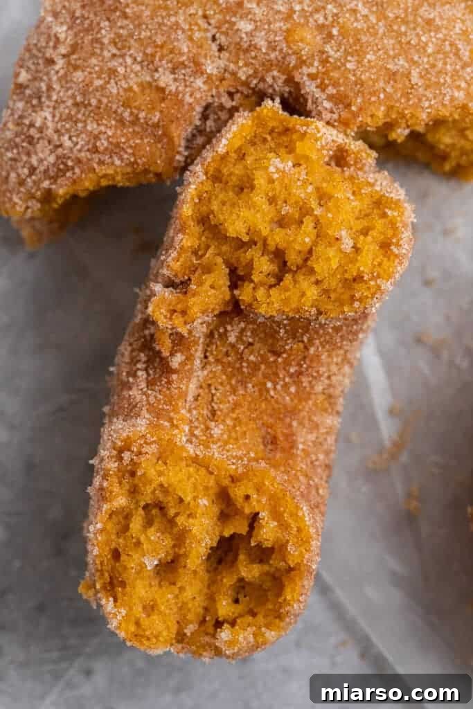 Decadent Pumpkin Spice Donut Perfection 12 Pumpkin spice donut broken in half