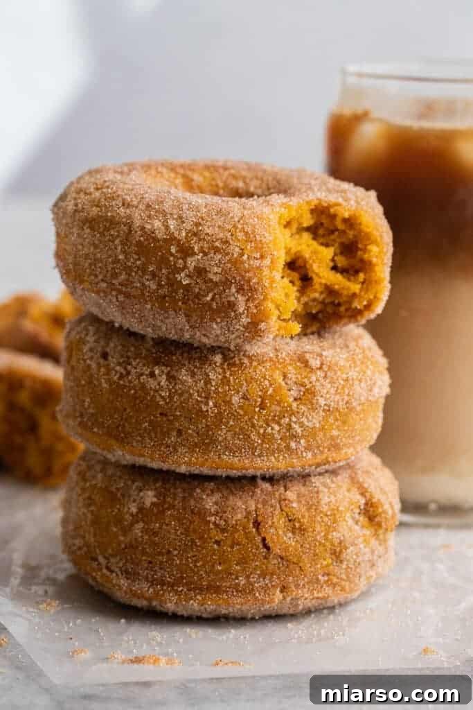 Decadent Pumpkin Spice Donut Perfection 13 Close up of pumpkin spice donuts stacked