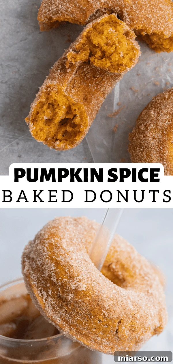 Decadent Pumpkin Spice Donut Perfection 16 pumpkin spice donuts