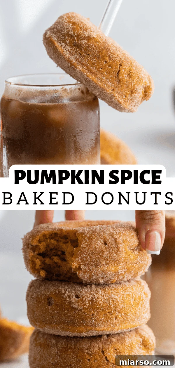 Decadent Pumpkin Spice Donut Perfection 17 pumpkin spice donuts
