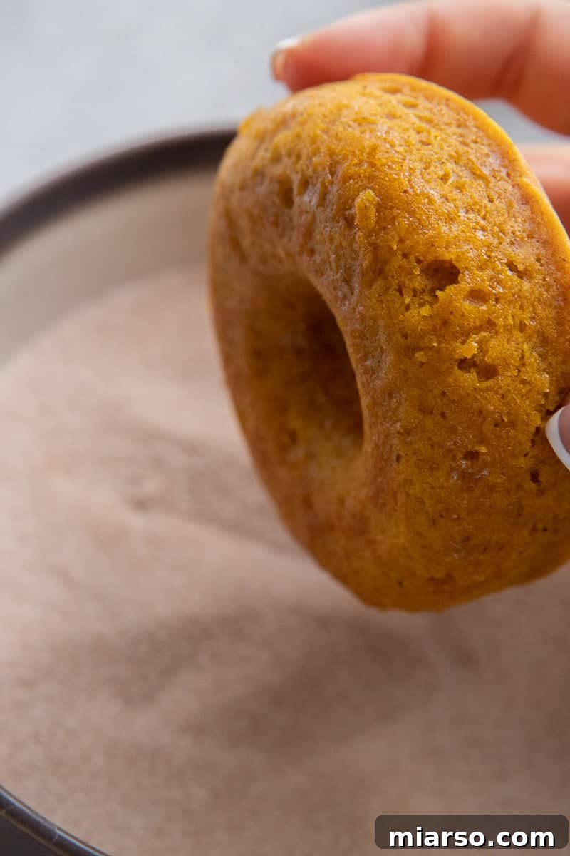 Decadent Pumpkin Spice Donut Perfection 9 Donut dipped in sugar cinnamon mixture