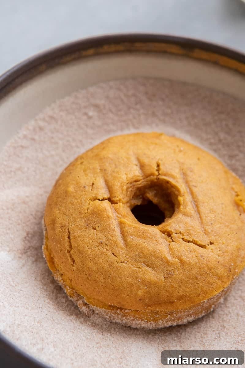 Decadent Pumpkin Spice Donut Perfection 10 Donut dipped in sugar cinnamon mixture