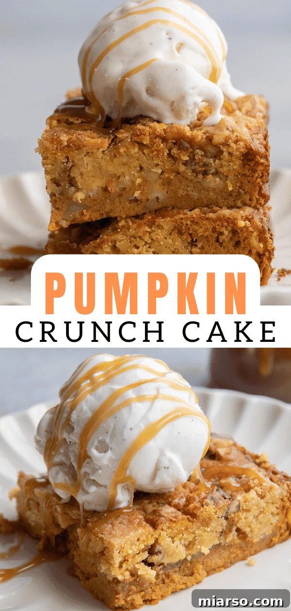 Pumpkin dump cake ready for sharing