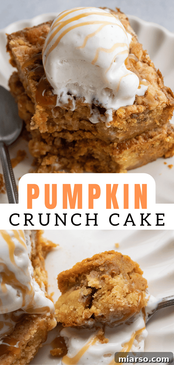 Close-up of baked Pumpkin crunch cake with golden topping