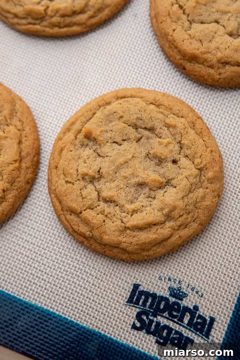 Baked cookie on baking sheet