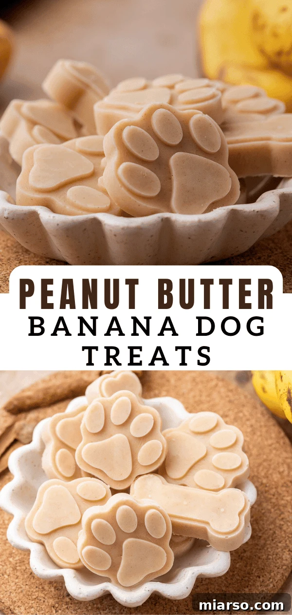 Frosty Peanut Butter Banana Pupsicles 13 Another pin image for frozen peanut butter banana dog treats